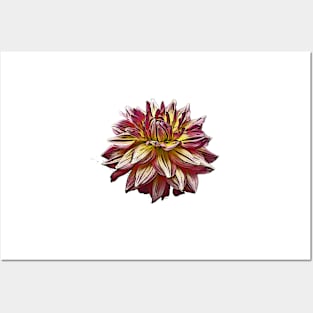 American Dahlia Posters and Art